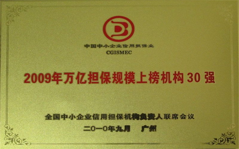 2009年萬億擔(dān)保規(guī)模上榜機(jī)構(gòu)30強