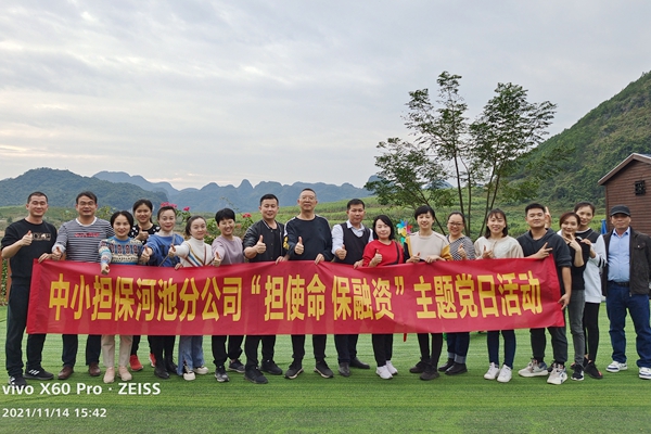 河池主題黨日活動_副本600